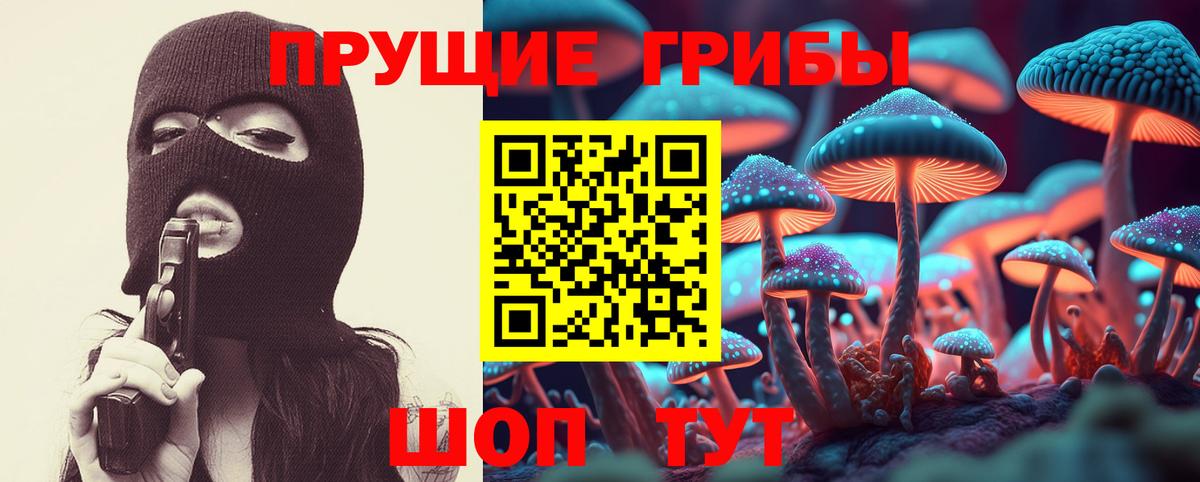 дарнет шоп  Псилоцибиновые грибы ЛСД  Вход с VPN  Рязань 